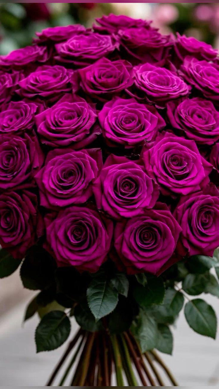 Corporate floral consultation example